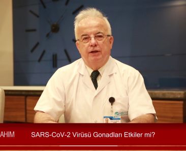 SARS-CoV-2 Virüsü Gonadları Etkiler mi_Moment