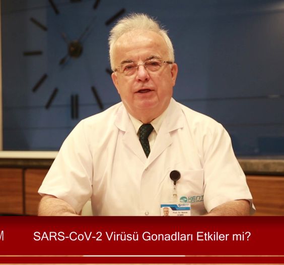 SARS-CoV-2 Virüsü Gonadları Etkiler mi_Moment